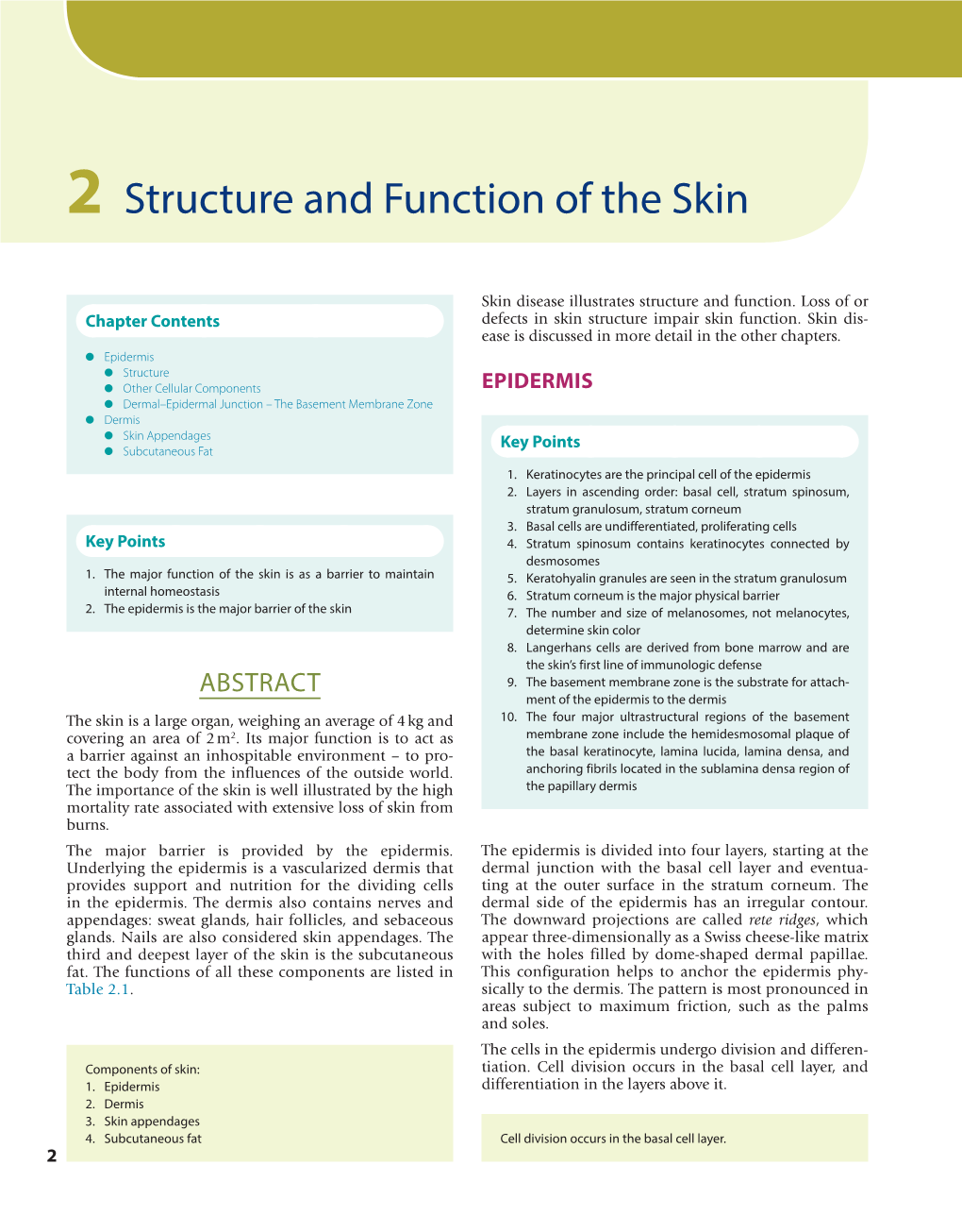 Structure and Function of the Skin