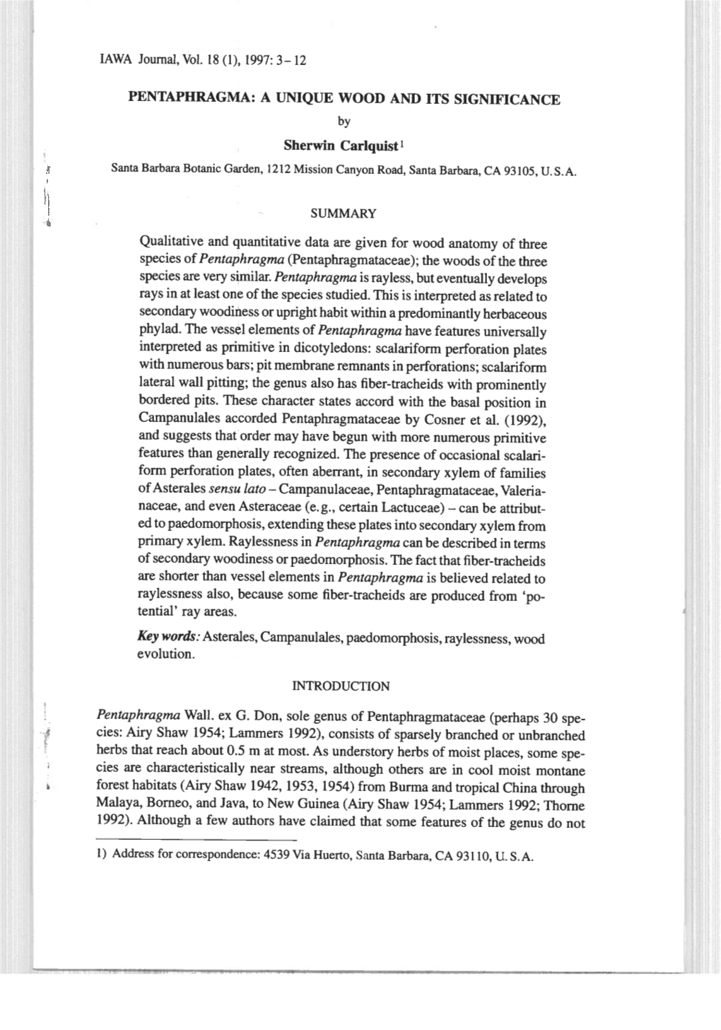 1997: 3— 12 Pentaphragma: a Unique Wood