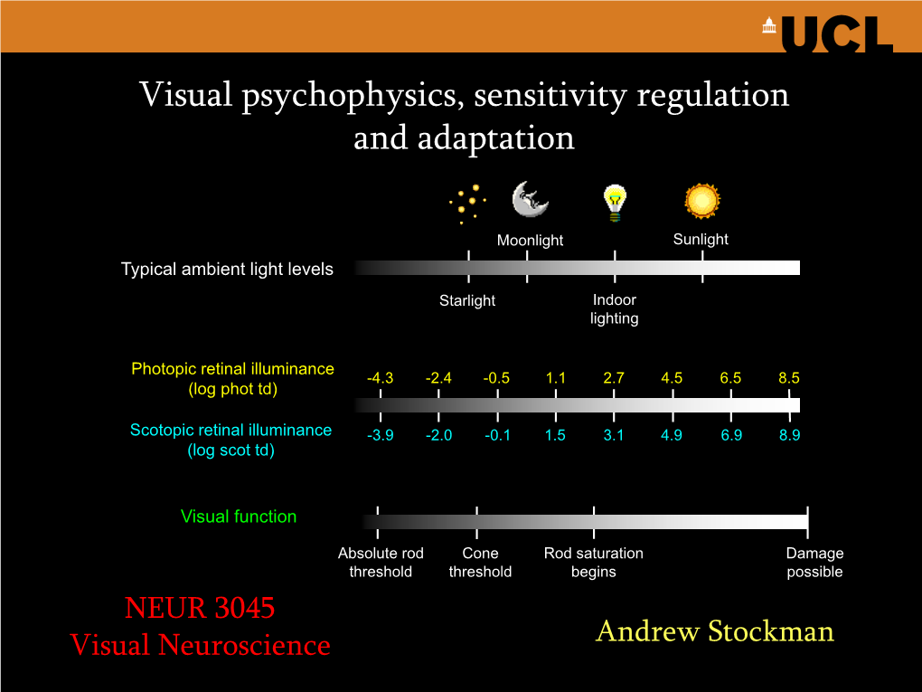 Visual Psychophysics and Sensitivity Regulation