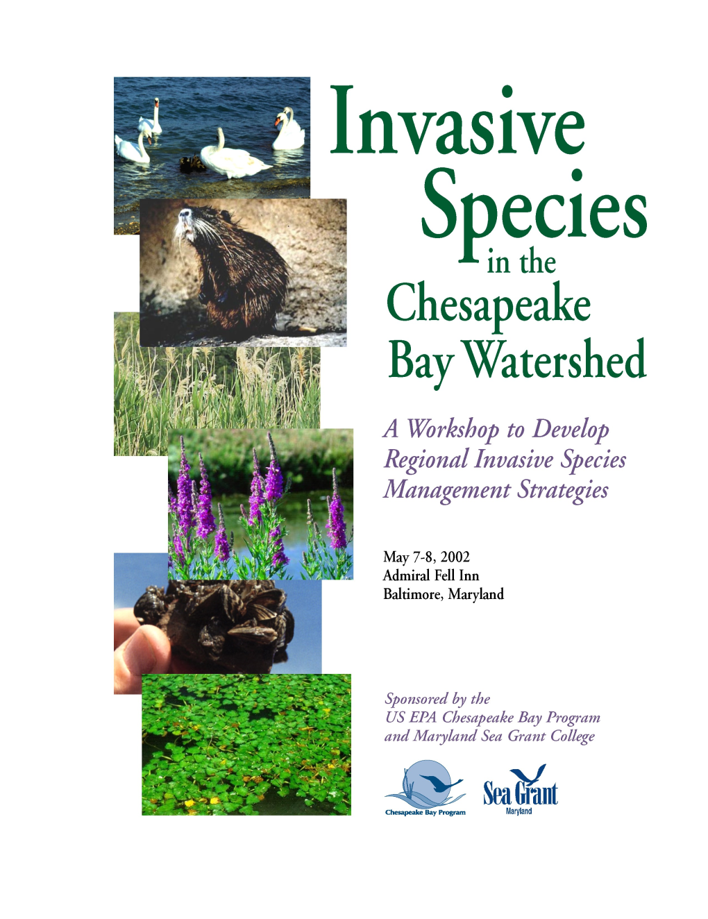 Invasive Species in the Chesapeake Bay Watershed