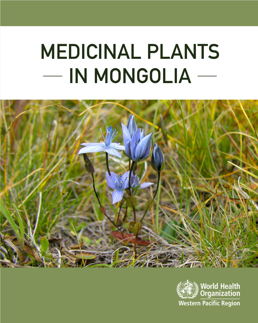 Medicinal Plants in Mongolia