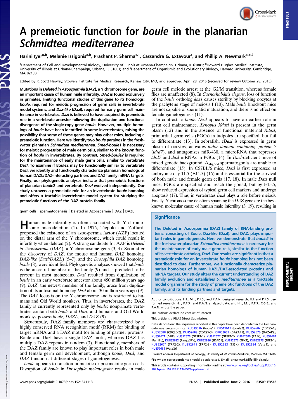 A Premeiotic Function for Boule in the Planarian Schmidtea Mediterranea