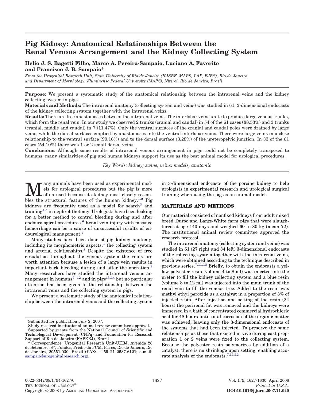 Pig Kidney: Anatomical Relationships Between the Renal Venous Arrangement and the Kidney Collecting System