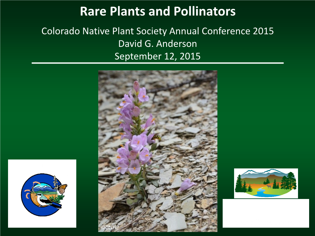 David Anderson – Rare Plants and Pollinators