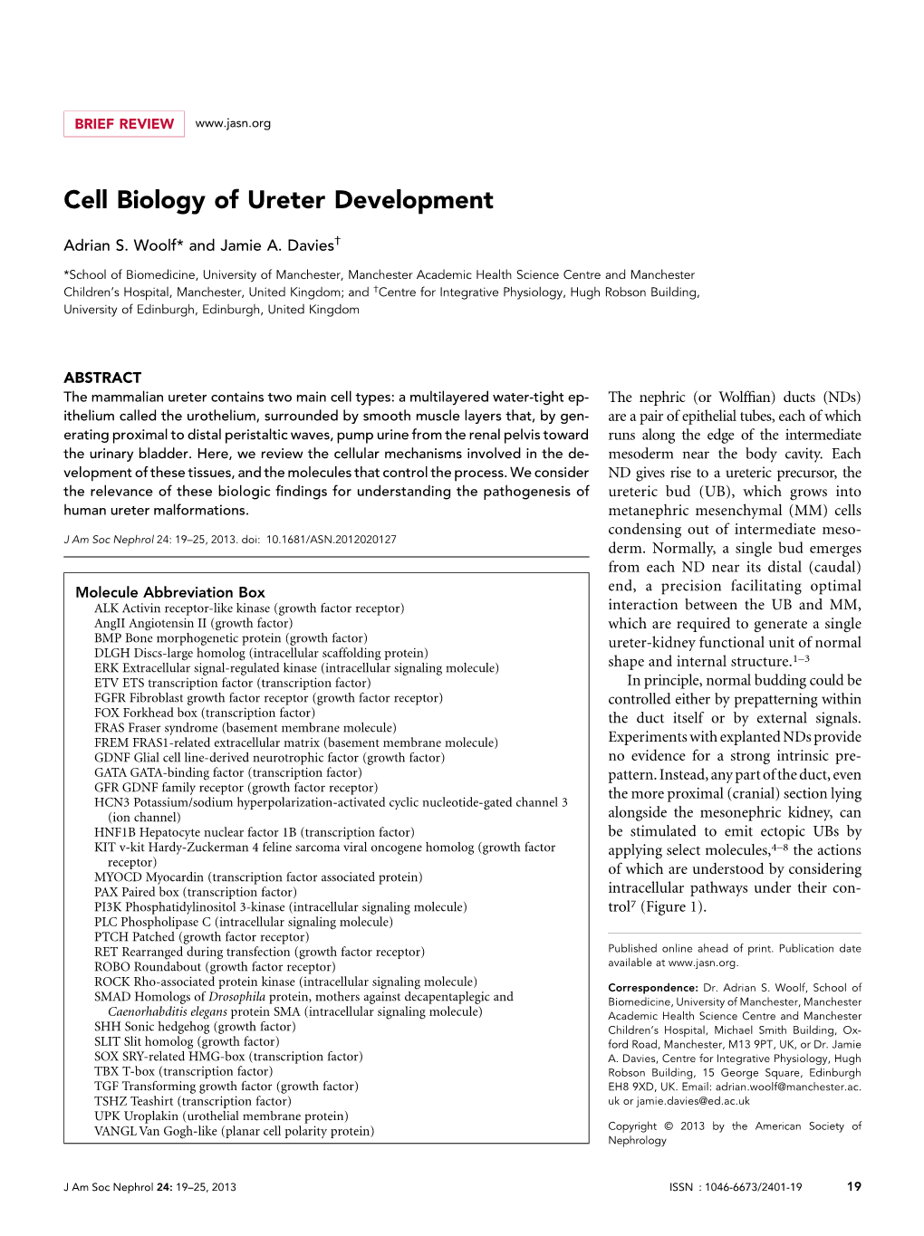 Cell Biology of Ureter Development