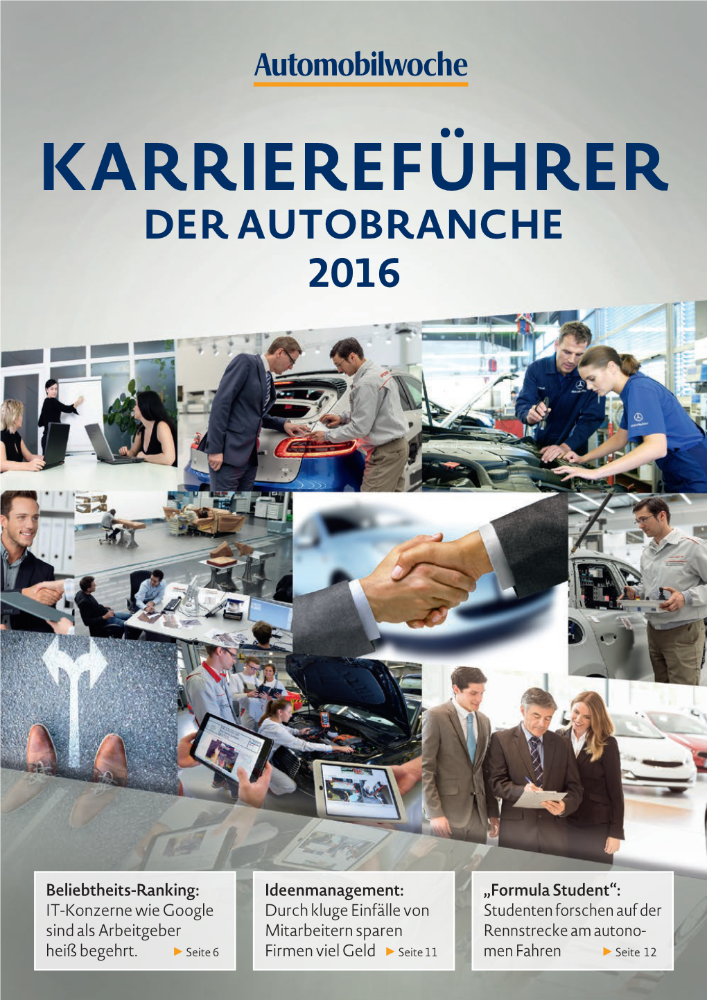Karriereführer Der Autobranche 20152016