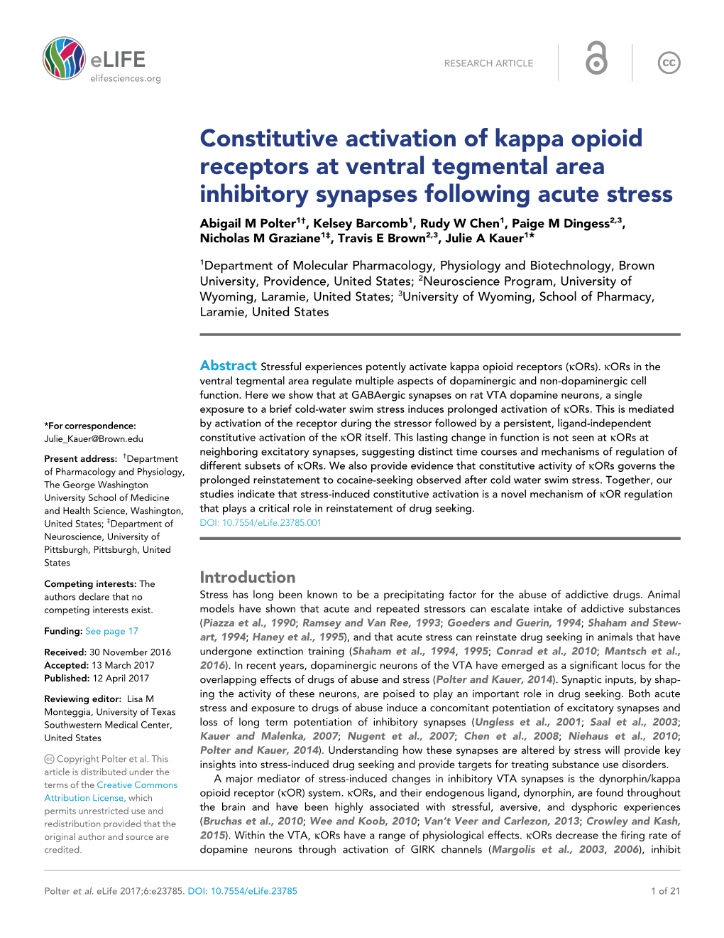 Constitutive Activation of Kappa Opioid Receptors at Ventral Tegmental Area