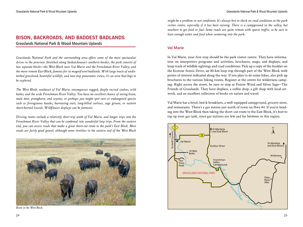 BISON, BACKROADS, and BADDEST BADLANDS Grasslands National Park & Wood Mountain Uplands Val Marie