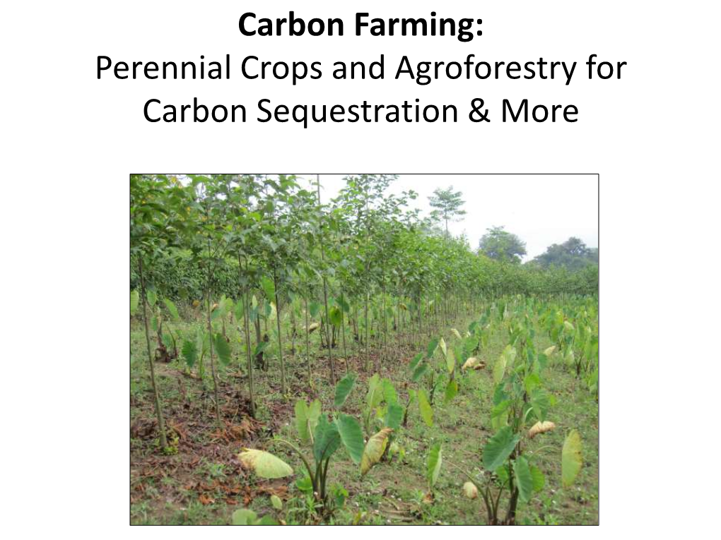 Carbon Farming: Perennial Crops and Agroforestry for Carbon Sequestration & More Climate Change