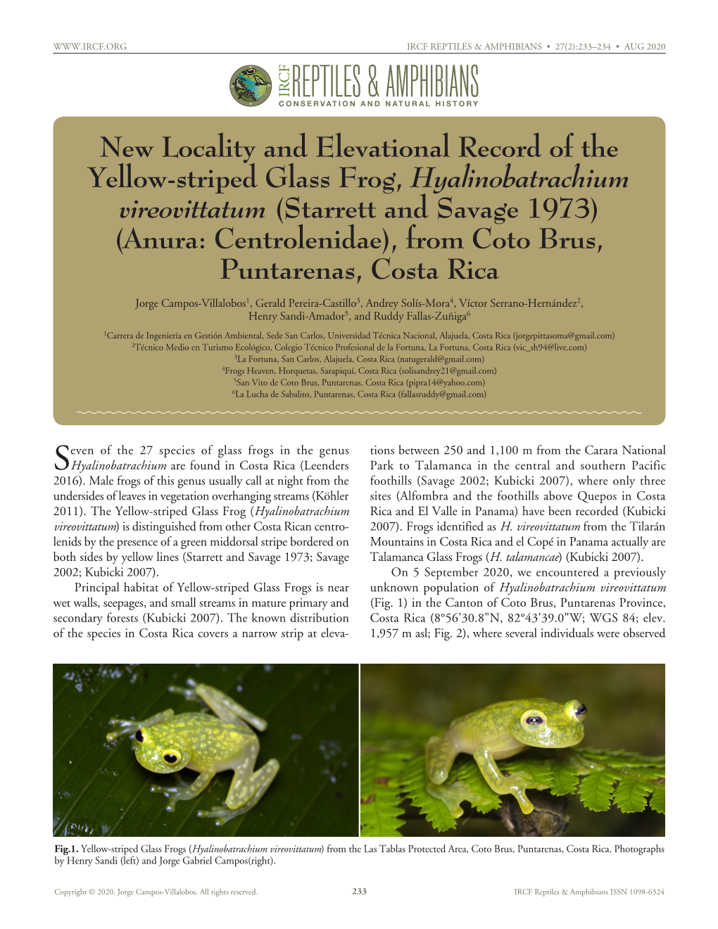 Cfreptiles & Amphibians