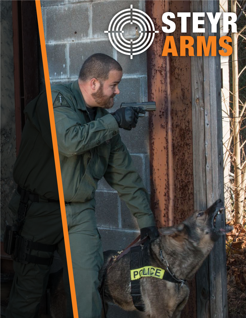 Steyr Arms Catalog 2018.Pdf