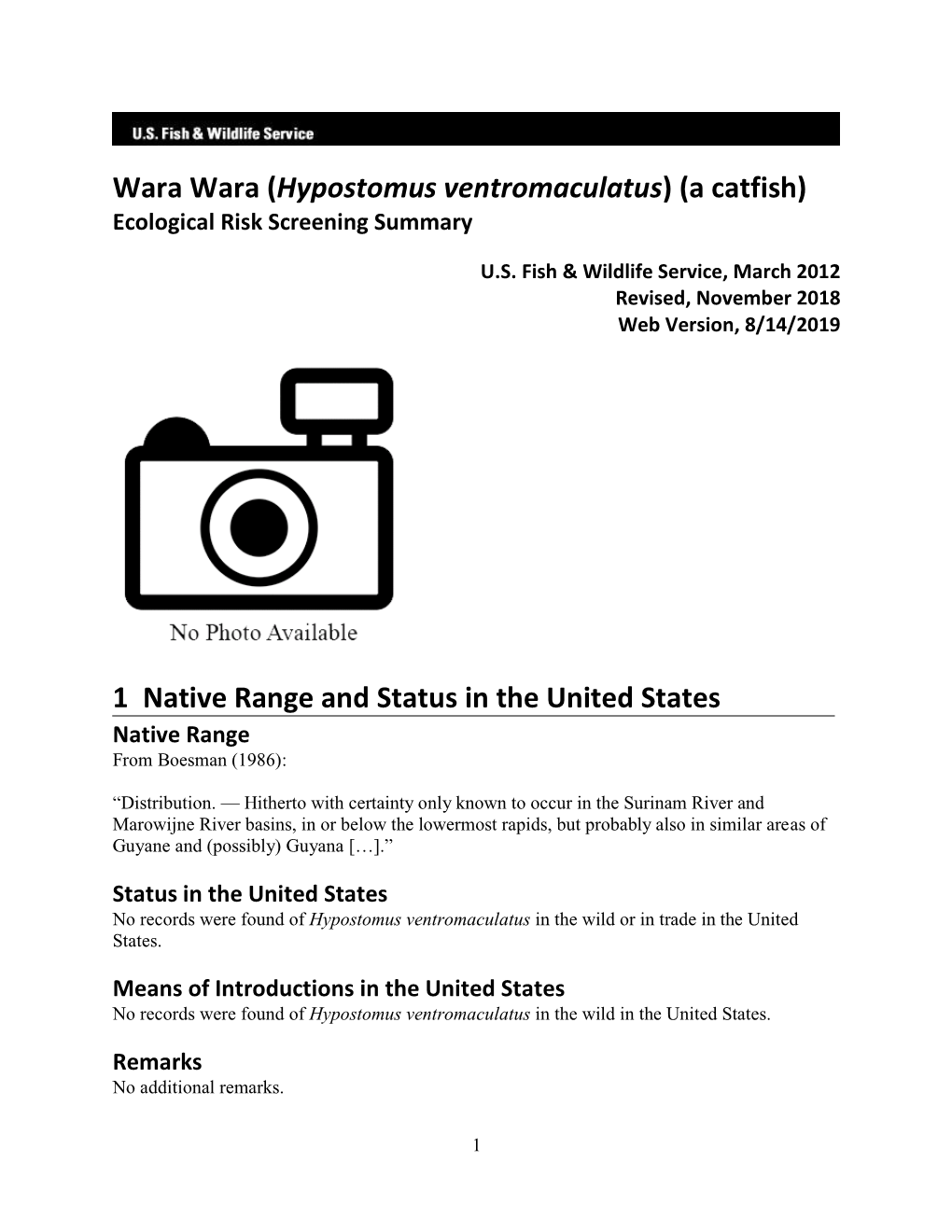 Wara Wara (Hypostomus Ventromaculatus) (A Catfish) Ecological Risk Screening Summary