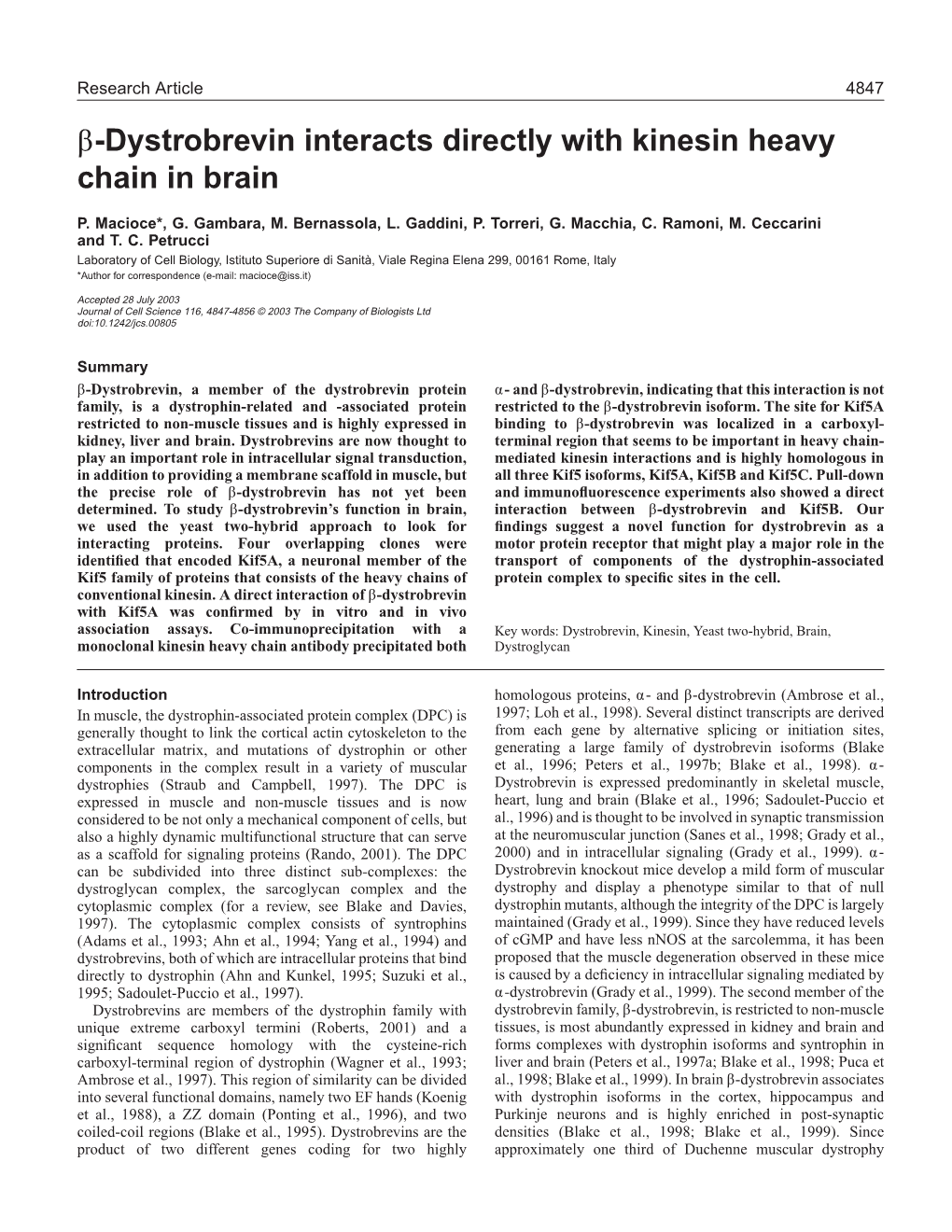 Β-Dystrobrevin Interacts Directly with Kinesin Heavy Chain in Brain