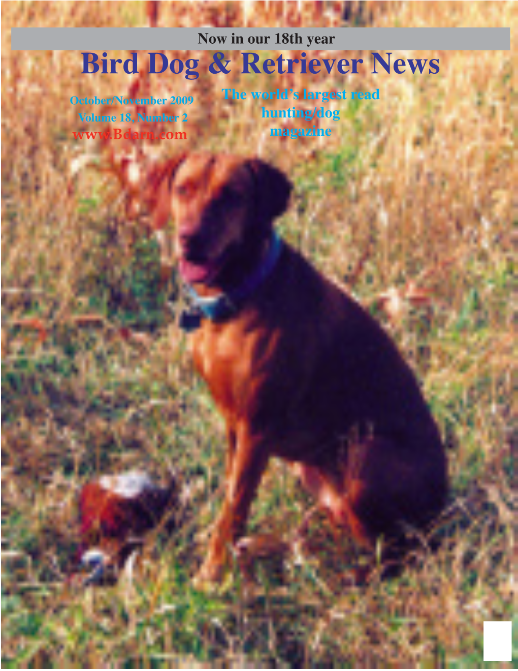 Bird Dog & Retriever News