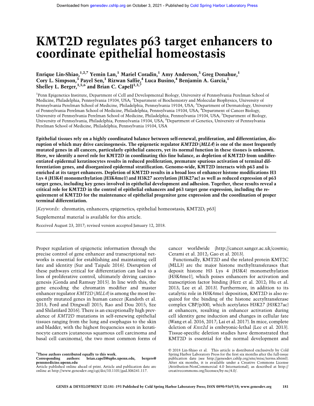 KMT2D Regulates P63 Target Enhancers to Coordinate Epithelial Homeostasis