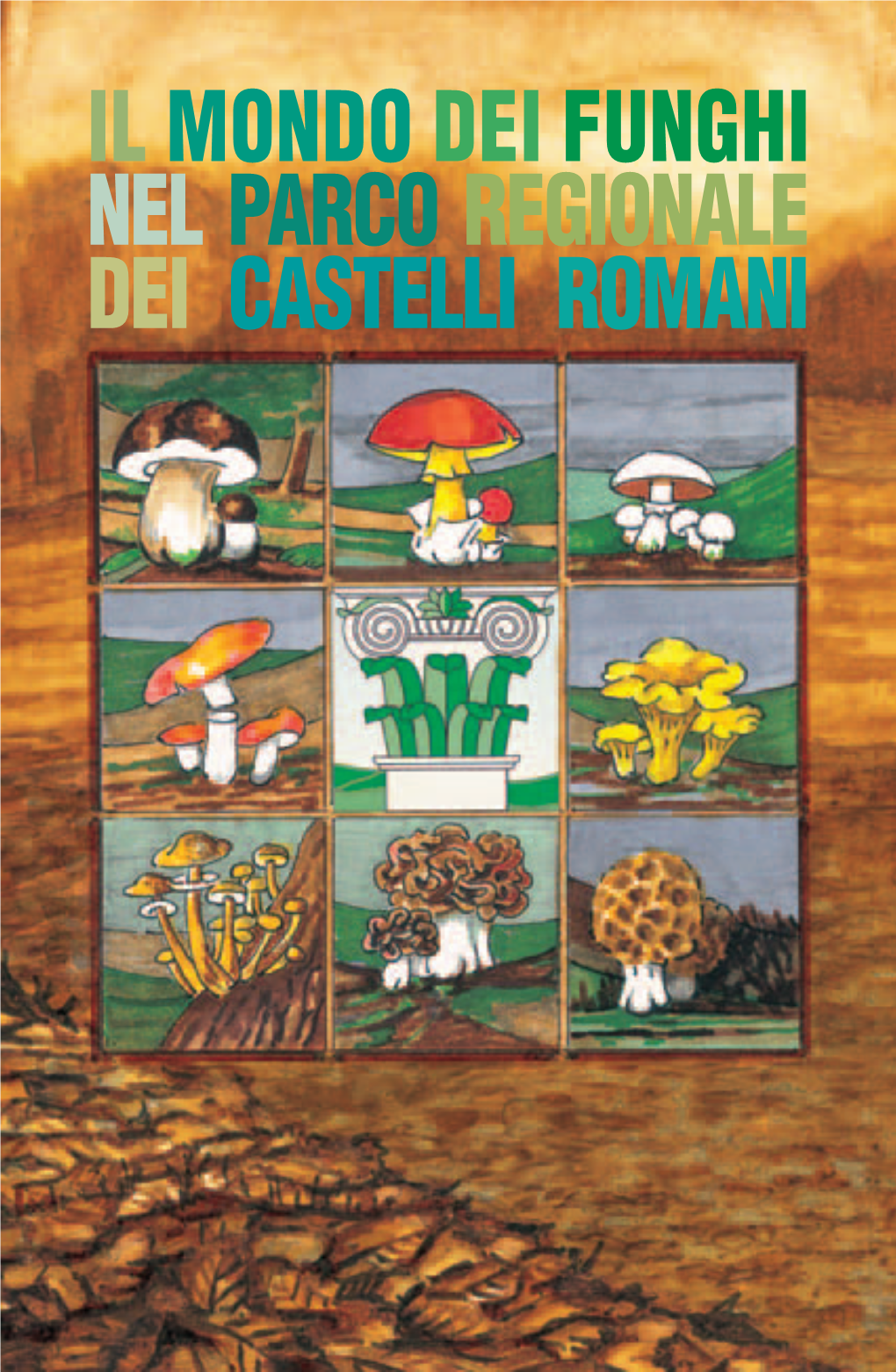 Il Mondo Dei Funghi Nel Parco Regionale Dei Castelli Romani