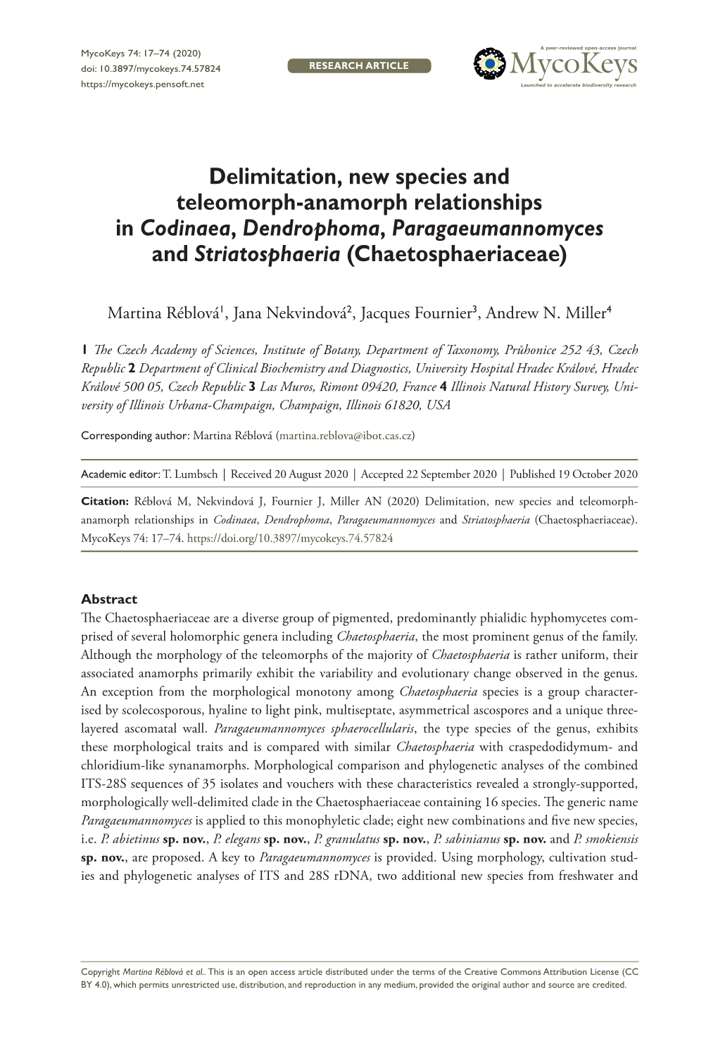 ﻿Delimitation, New Species and Teleomorph