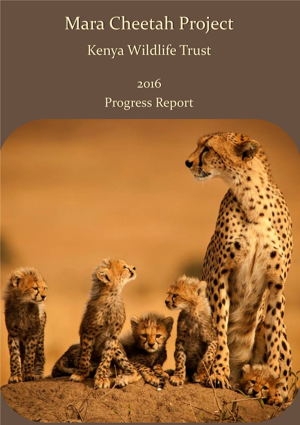 Mara Cheetah Project-Annual Report 2016