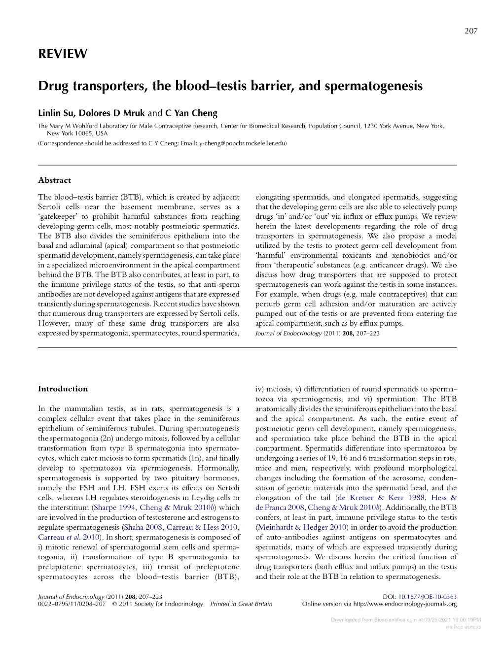 REVIEW Drug Transporters, the Blood–Testis Barrier, and Spermatogenesis