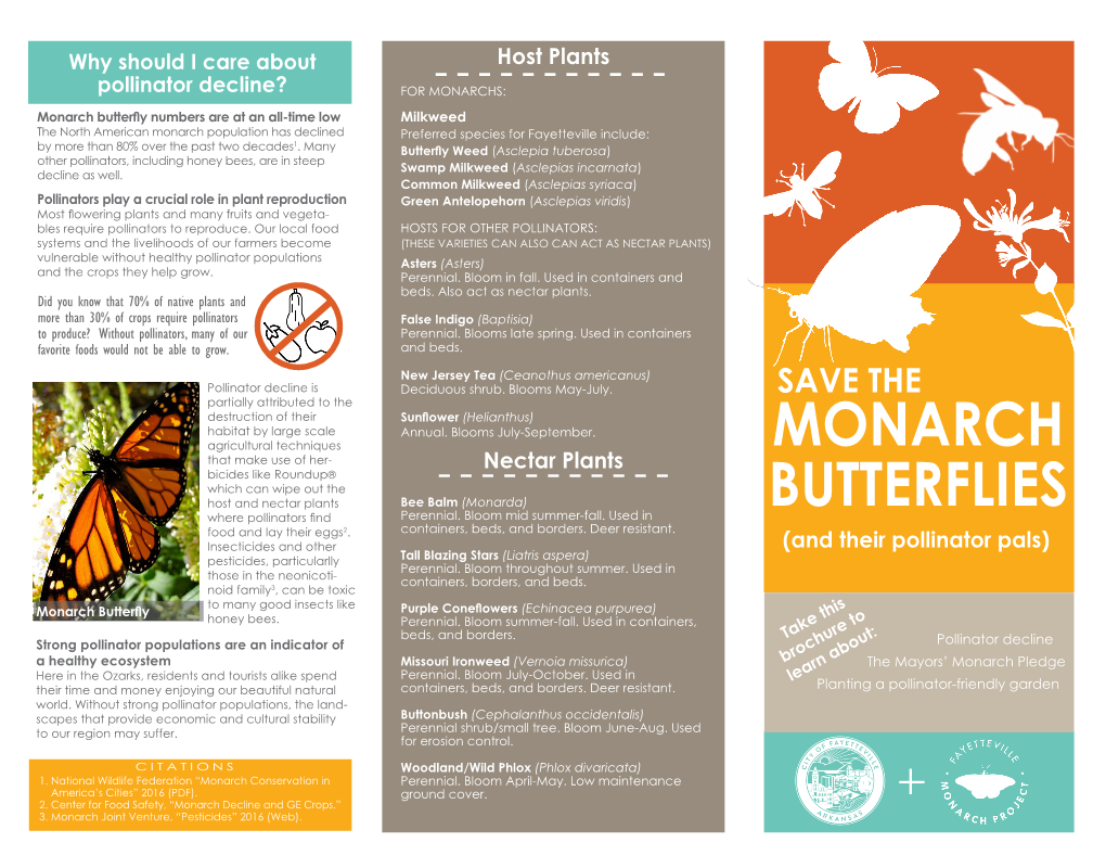 Monarch Butterflies