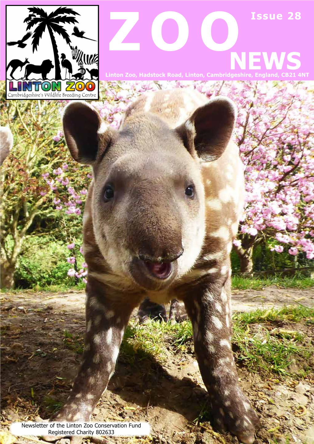 Issue 28 ZOO Linton Zoo, Hadstock Road, Linton, Cambridgeshire,NEWS England, CB21 4NT