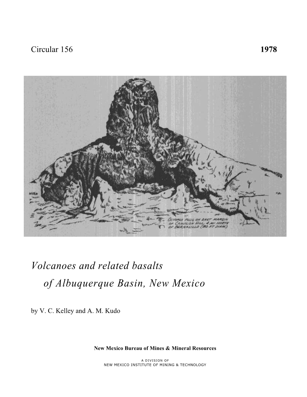 Volcanoes and Related Basalts of Albuquerque Basin, New Mexico by V