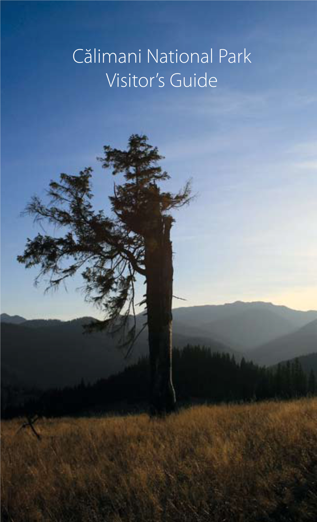 Călimani National Park Visitor's Guide