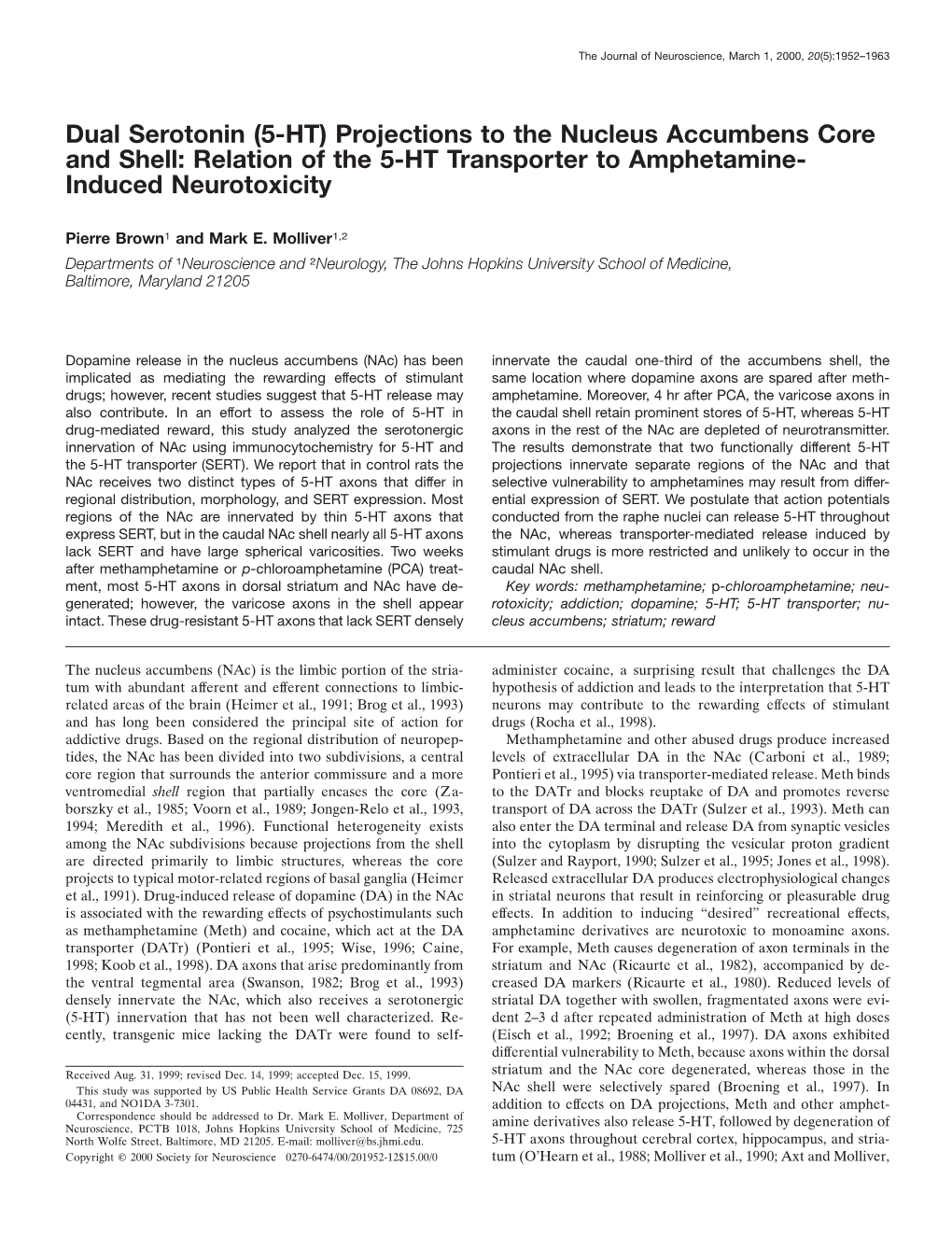 Projections to the Nucleus Accumbens Core and Shell: Relation of the 5-HT Transporter to Amphetamine-Induc