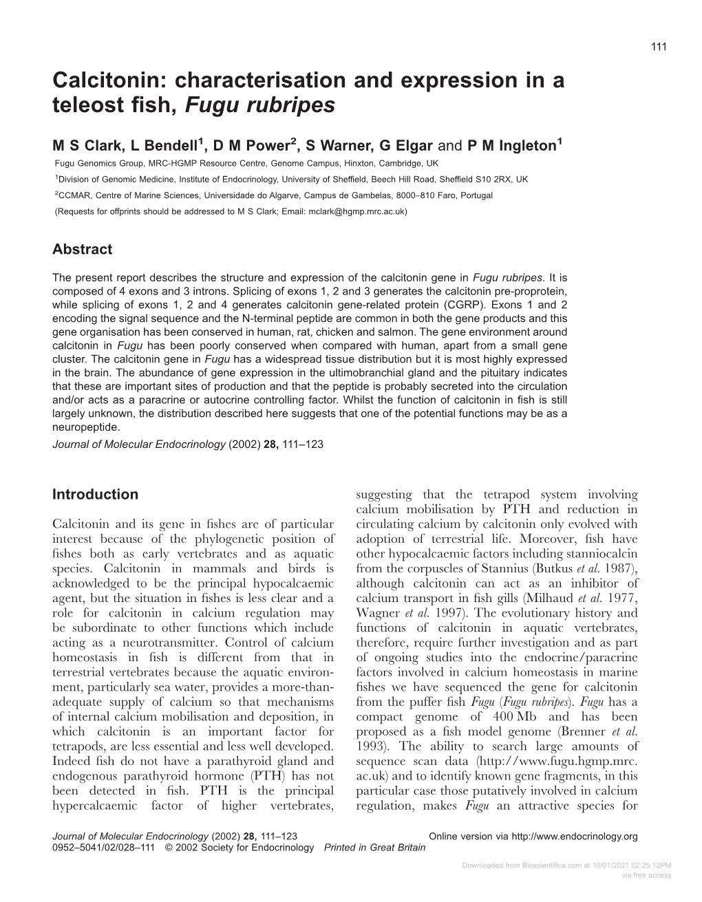 Calcitonin: Characterisation and Expression in a Teleost Fish, Fugu