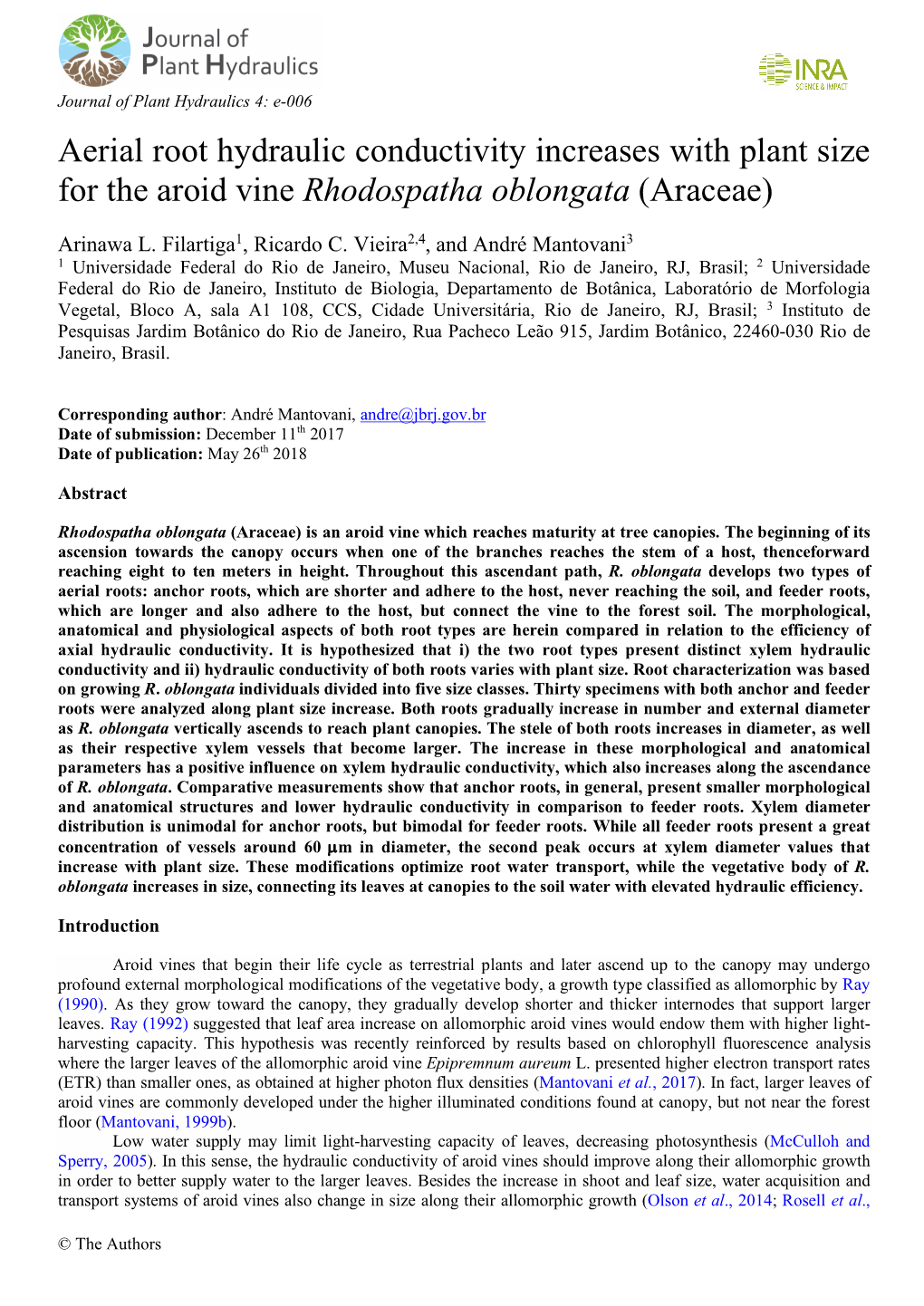 Aerial Root Hydraulic Conductivity Increases with Plant Size for the Aroid Vine Rhodospatha Oblongata (Araceae)