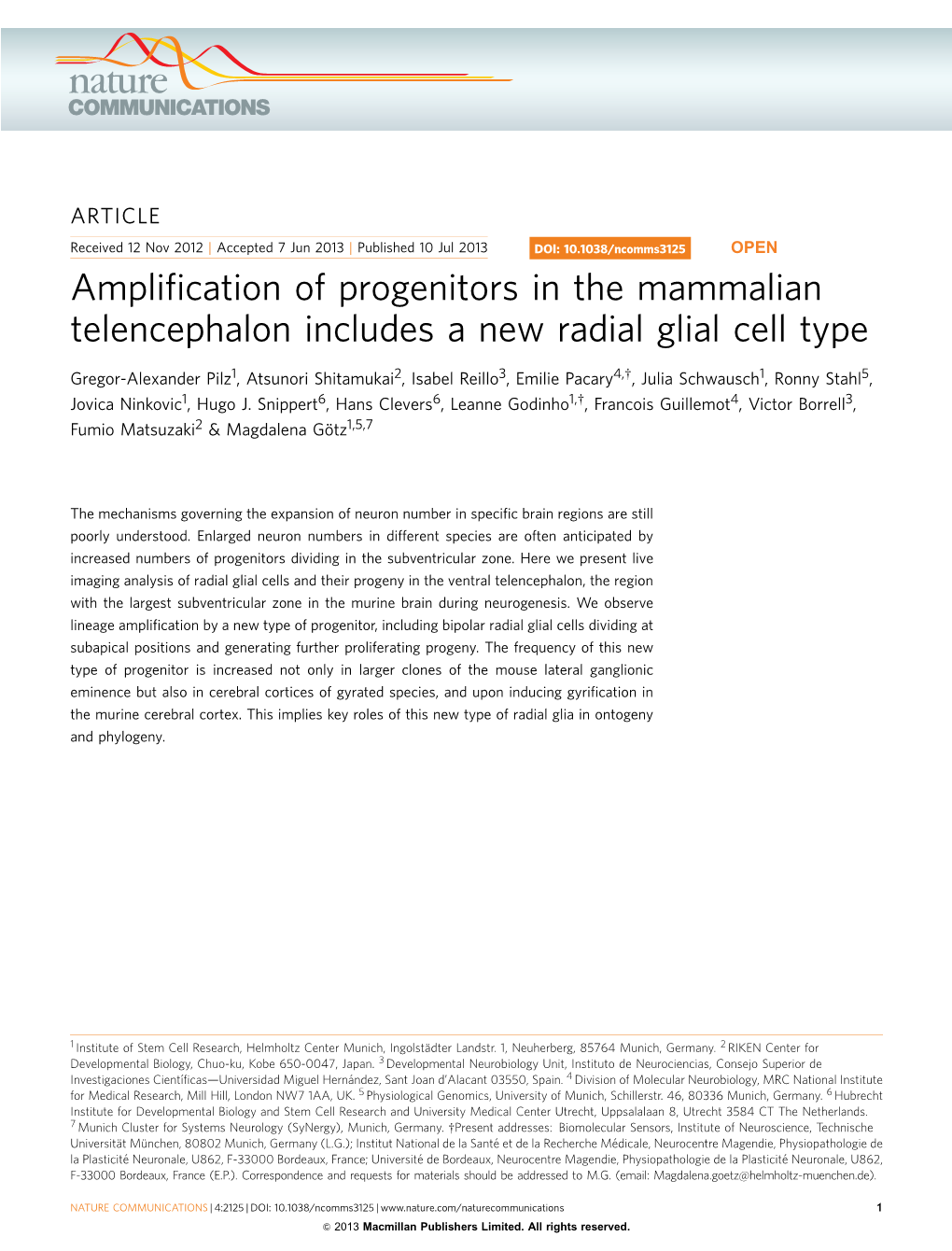 Amplification of Progenitors in the Mammalian Telencephalon Includes a New Radial Glial Cell Type