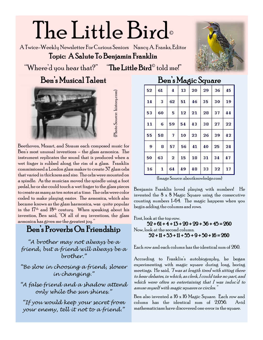 The Little Bird© a Twice-Weekly Newsletter for Curious Seniors Nancy A