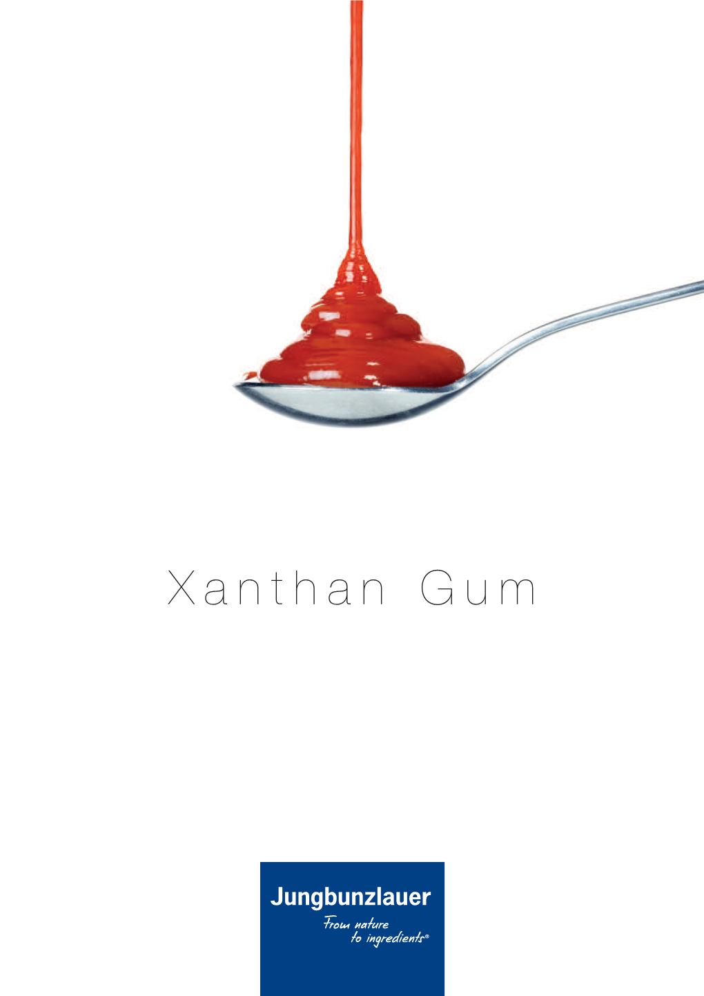 Xanthan Gum a Hydrocolloid with Outstanding Properties