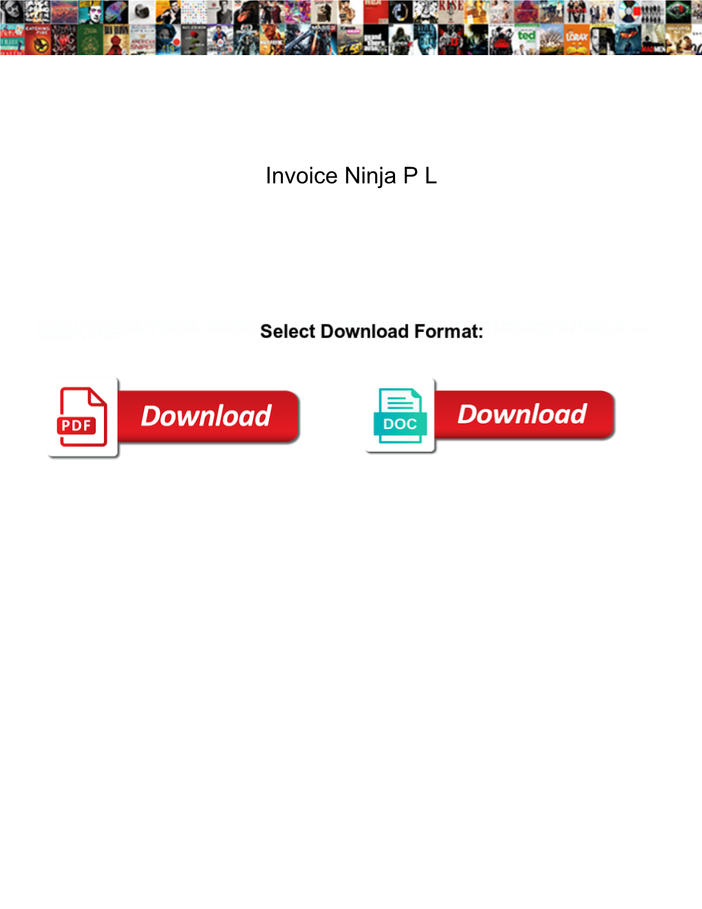 Invoice Ninja P L
