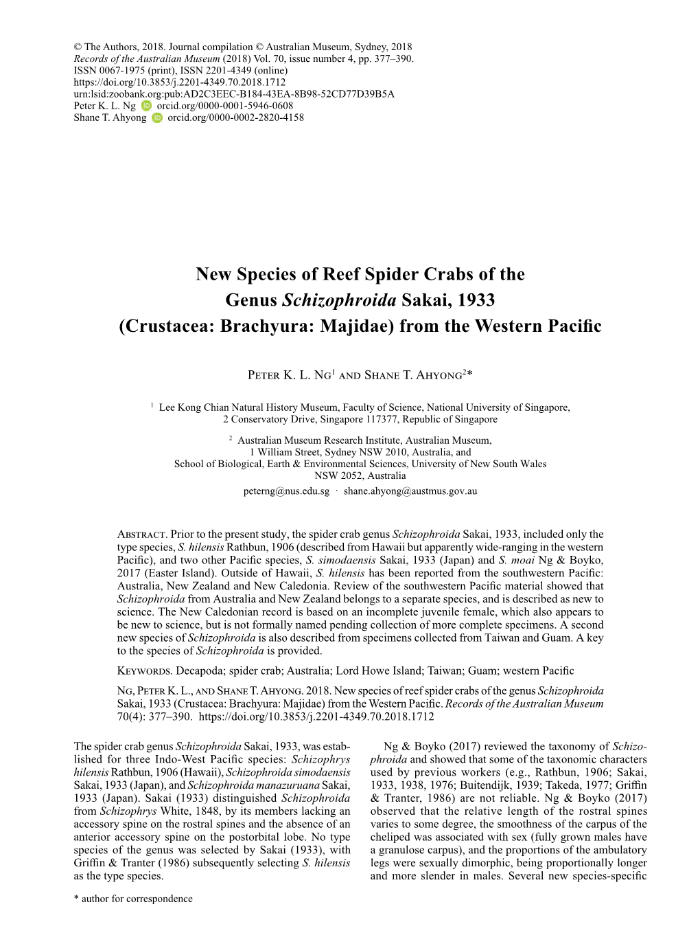 New Species of Reef Spider Crabs of the Genus Schizophroida Sakai, 1933 (Crustacea: Brachyura: Majidae) from the Western Pacific