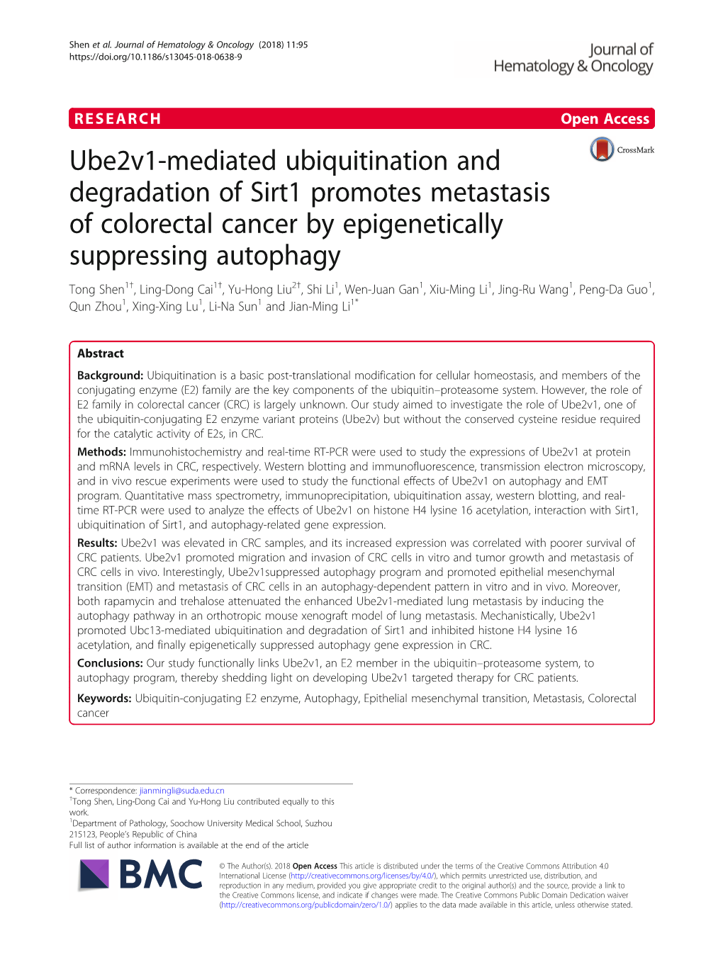 Ube2v1-Mediated Ubiquitination and Degradation of Sirt1 Promotes