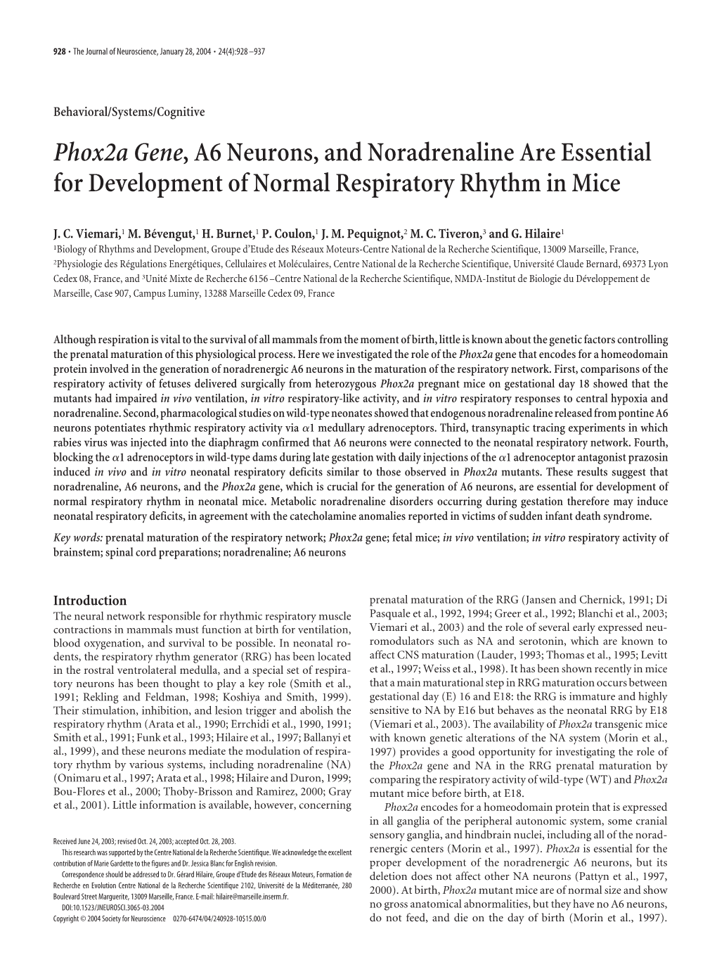 Phox2a Gene, A6 Neurons, and Noradrenaline Are Essential for Development of Normal Respiratory Rhythm in Mice