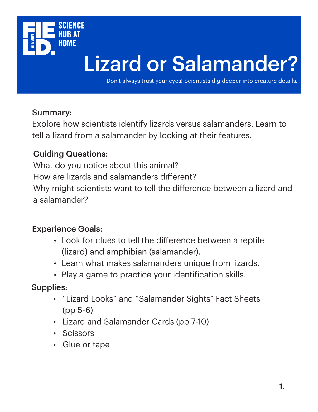 Lizard Or Salamander? Don’T Always Trust Your Eyes! Scientists Dig Deeper Into Creature Details