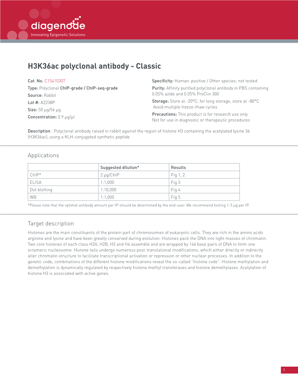 H3k36ac Polyclonal Antibody - Classic