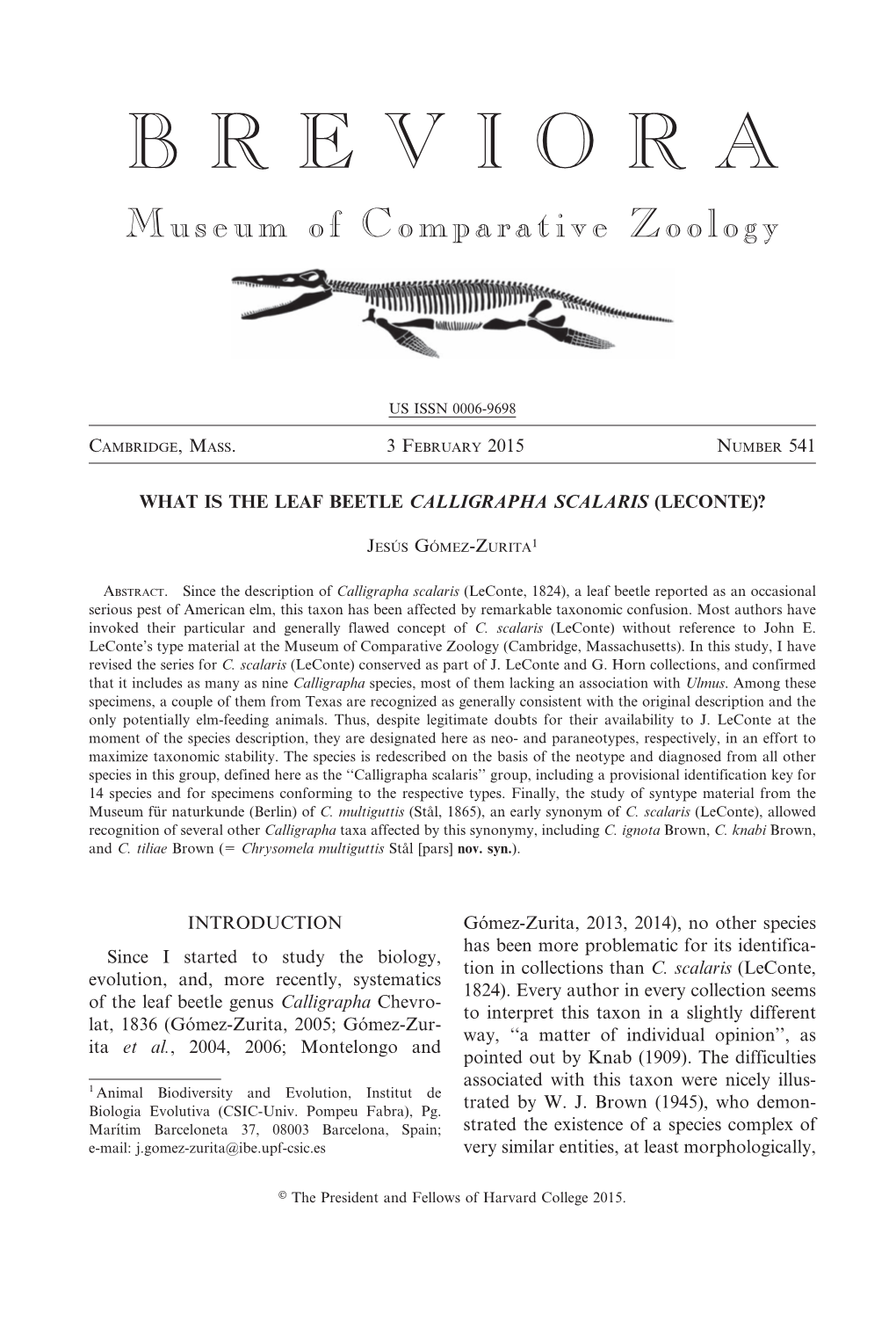 What Is the Leaf Beetle Calligrapha Scalaris (Leconte)?