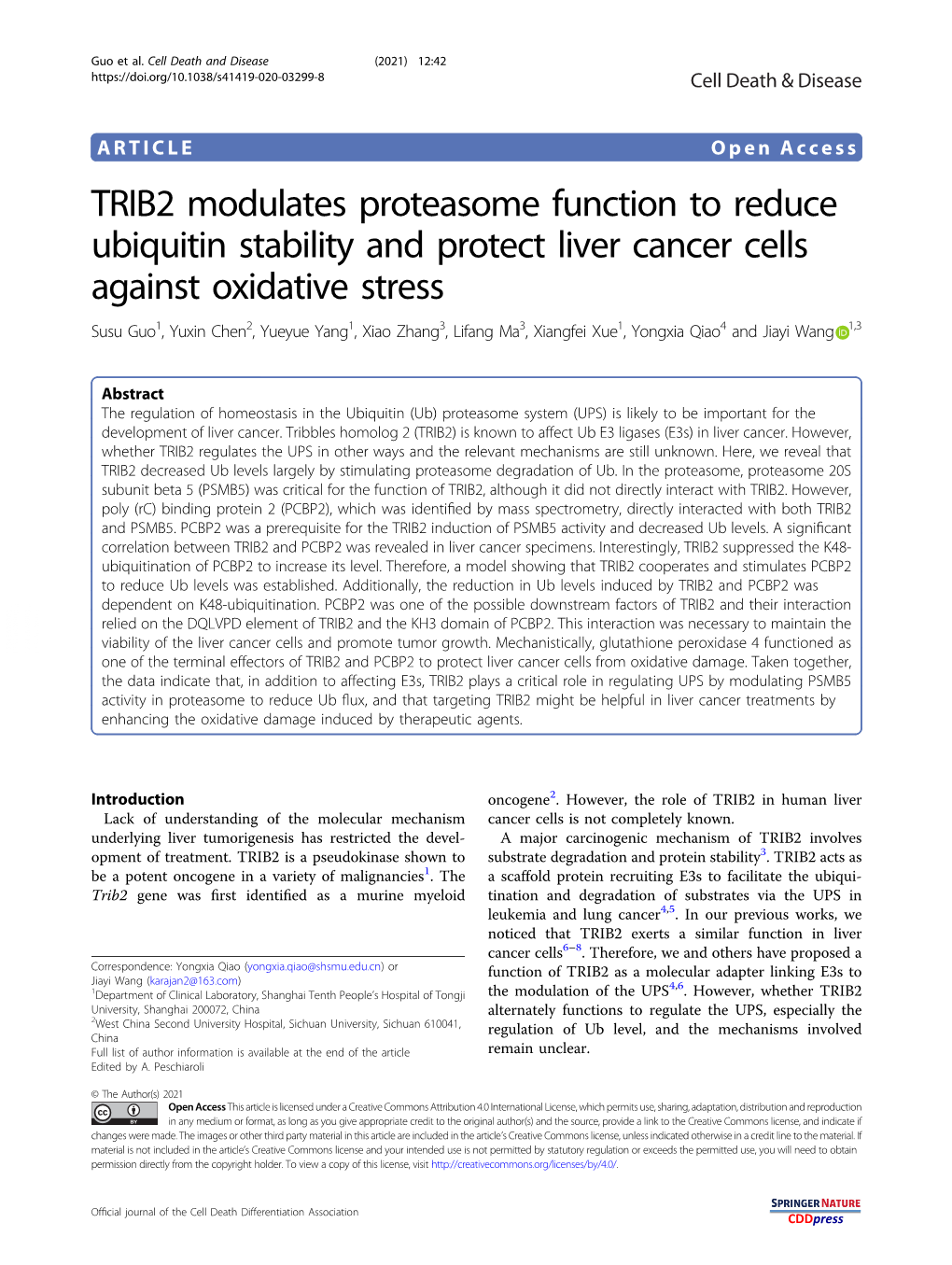 TRIB2 Modulates Proteasome Function to Reduce Ubiquitin Stability And