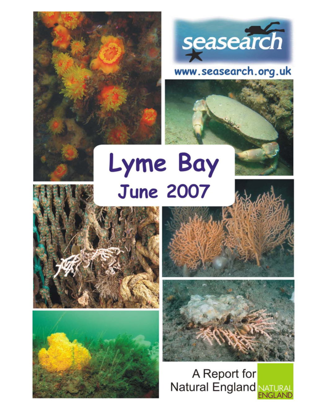 Seasearch Surveys in Lyme Bay, June 2007 2