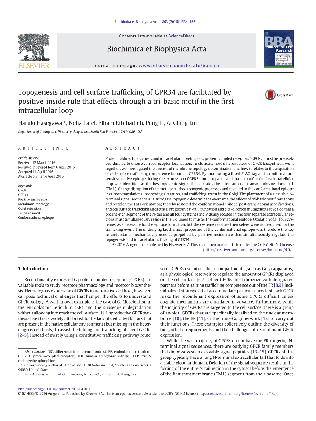 Topogenesis and Cell Surface Trafficking of GPR34 Are Facilitated by Positive-Inside Rule That Effects Through a Tri-Basic Motif