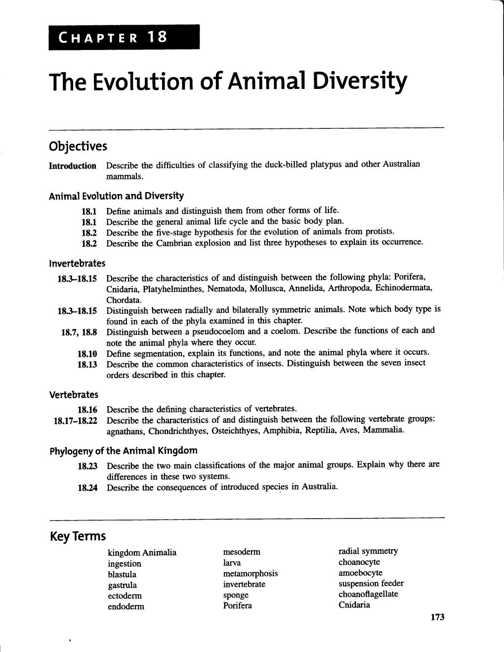 The Evolution of Animal Diversity