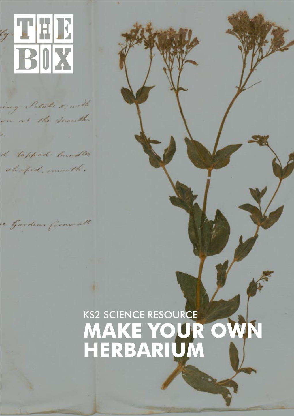 Make Your Own Herbarium 2