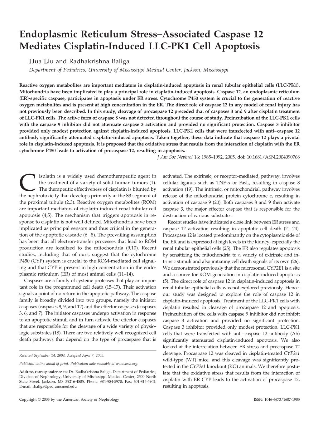 Endoplasmic Reticulum Stress–Associated Caspase 12 Mediates Cisplatin-Induced LLC-PK1 Cell Apoptosis