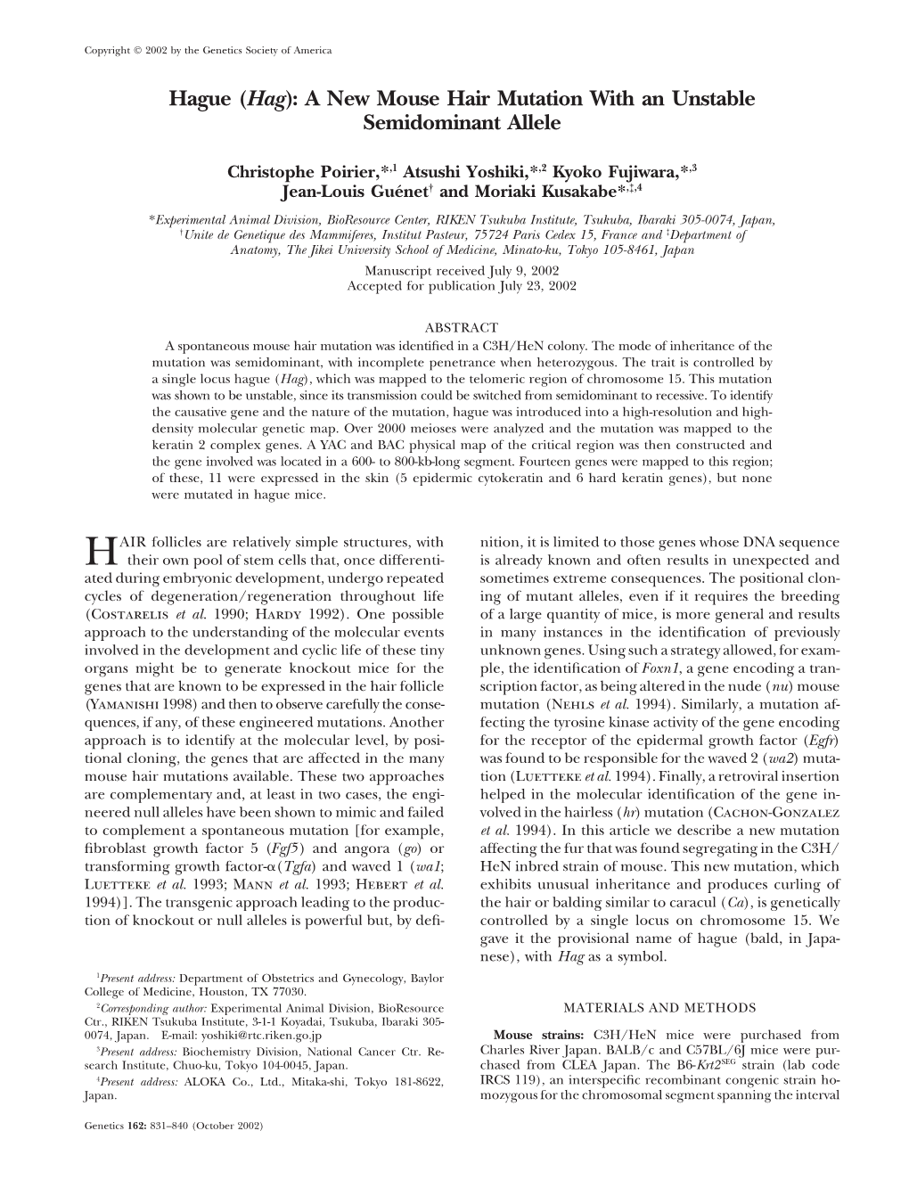 Hague (Hag): a New Mouse Hair Mutation with an Unstable Semidominant Allele