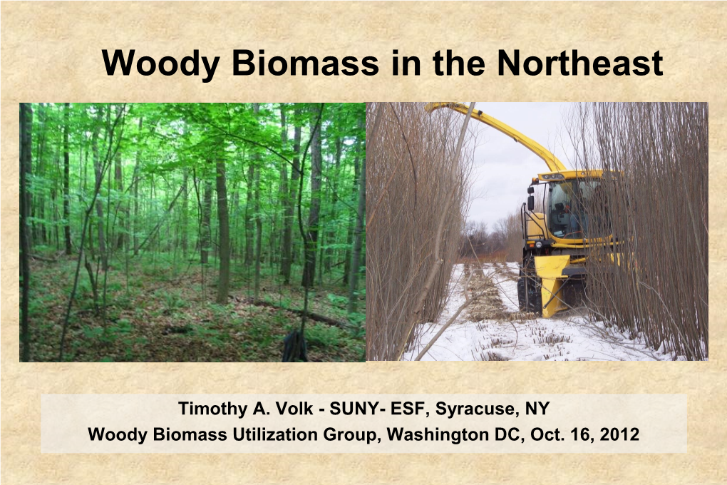 Woody Biomass in the Northeast