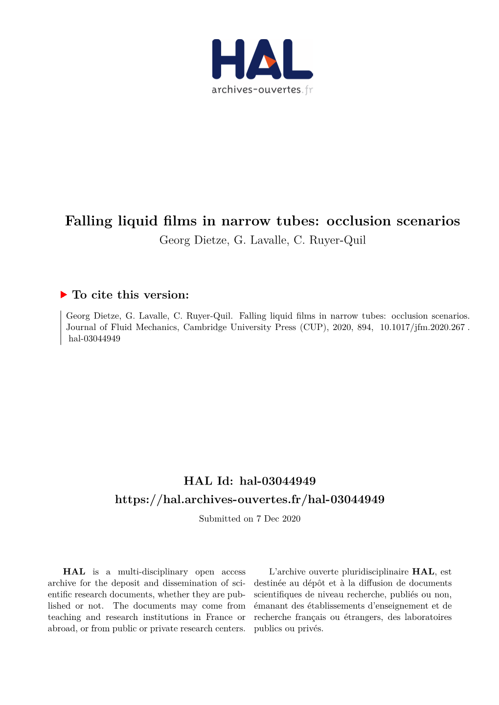 Falling Liquid Films in Narrow Tubes: Occlusion Scenarios Georg Dietze, G