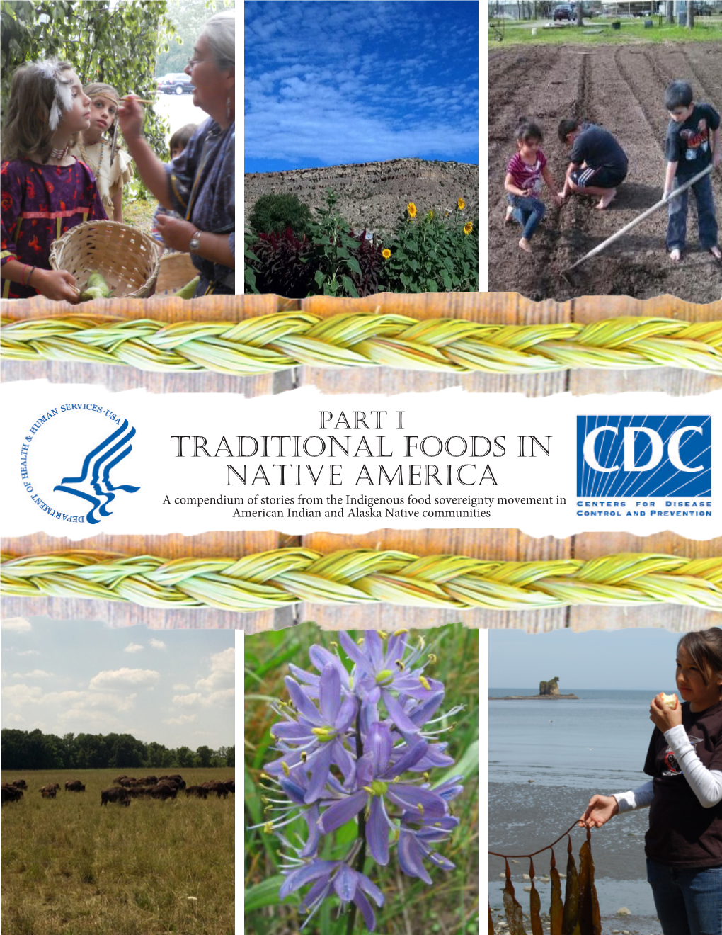 Part I Traditional Foods in Native America